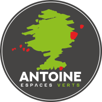 antoine ev vectorie