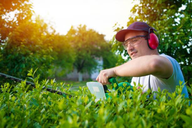 istockphoto-1053582062-612x612