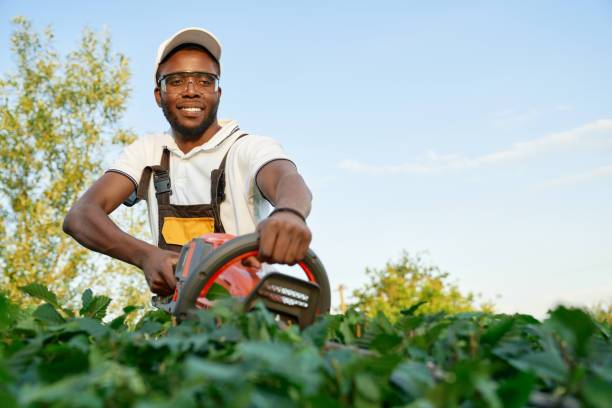 istockphoto-1204833795-612x612