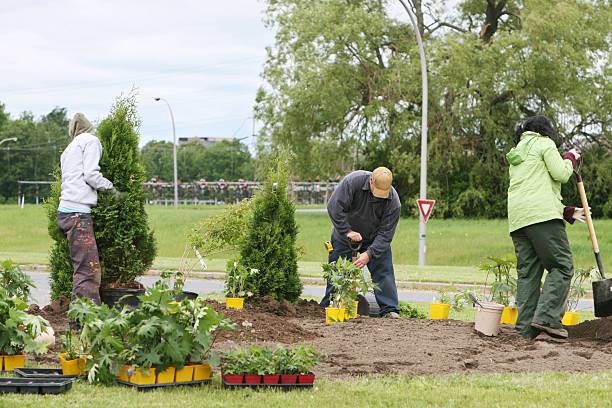 istockphoto-172238530-612x612